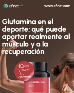 Glutamina en el deporte: qué puede aportar realmente al músculo y a la recuperación