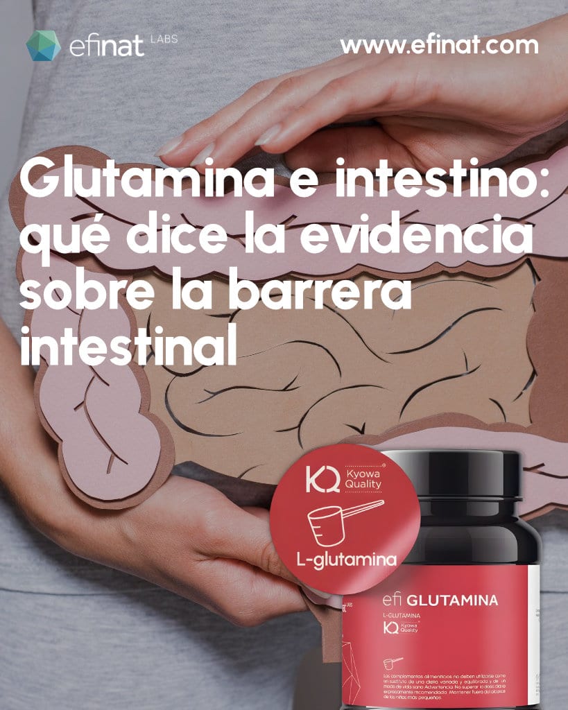 Glutamina e intestino: qué dice la evidencia sobre la barrera intestinal